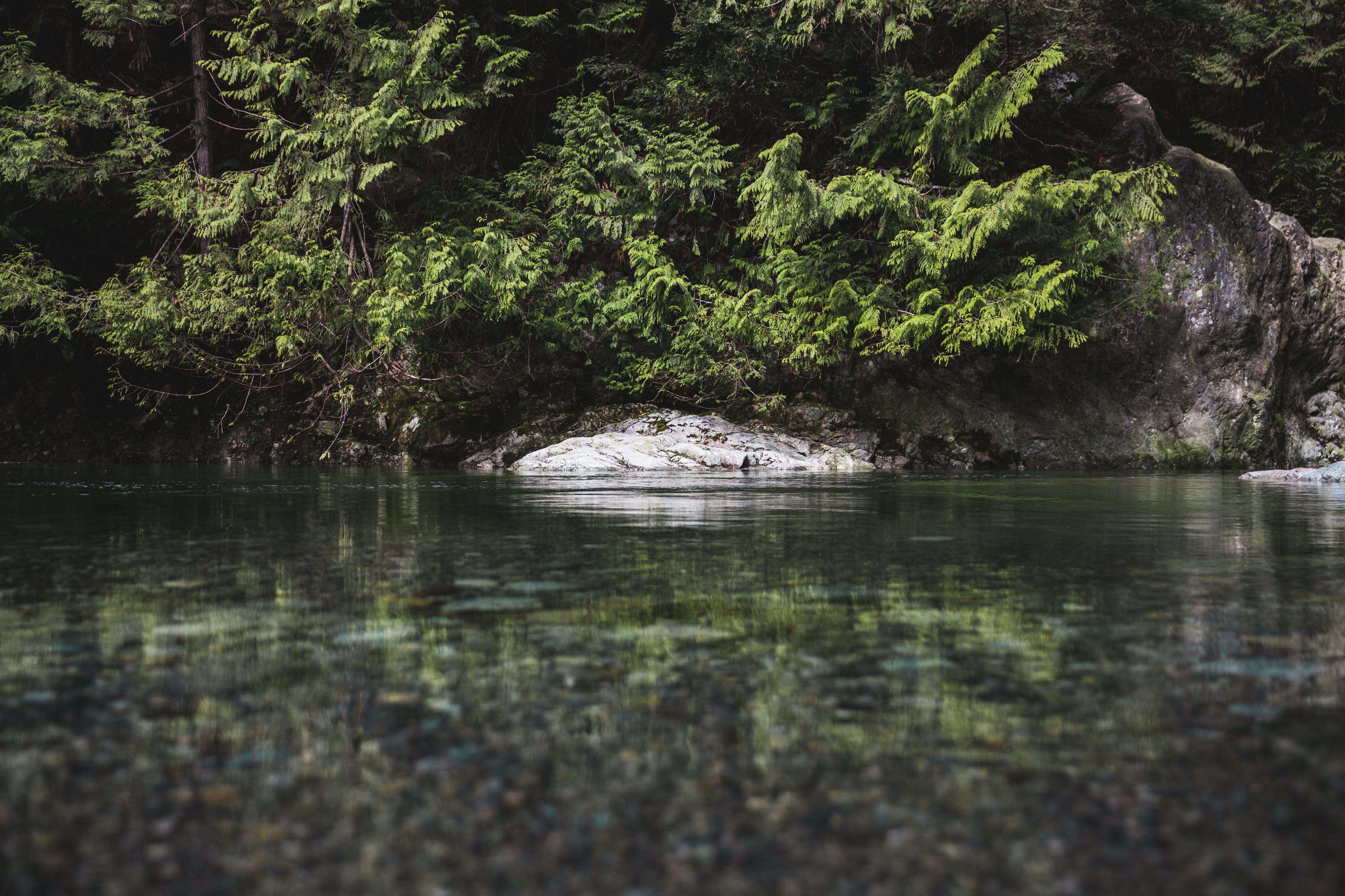 water